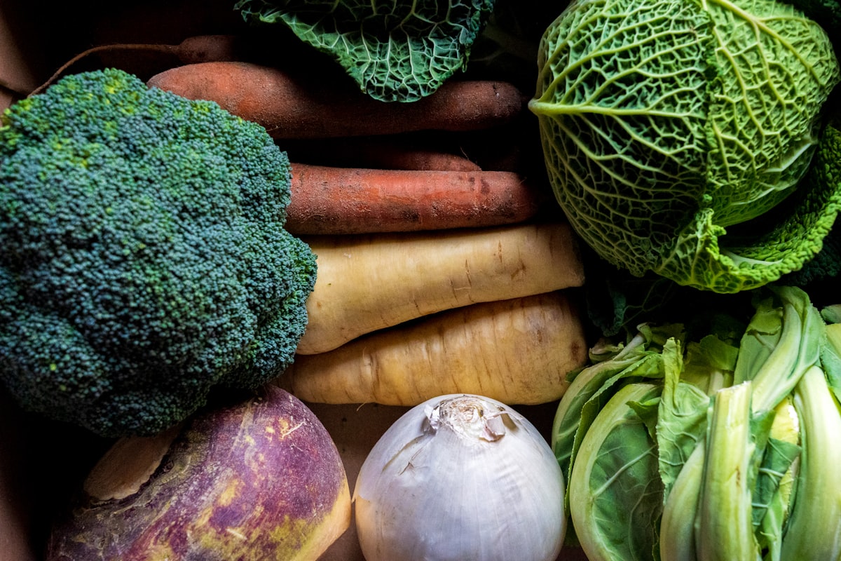 Meal timing and digestion